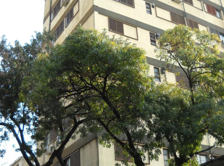 Departamento · 20m² · 1 Ambiente