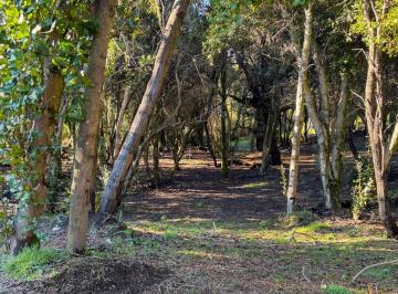 Terreno · 743m² · Venta Lote en Villa La Angostura
