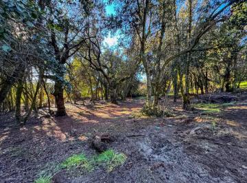 Terreno · 1017m² · Venta Lote en Villa La Angostura