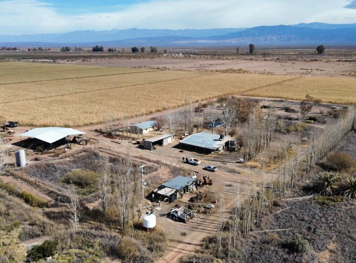 Campo · 445m² · 11 Ambientes · 6 Cocheras