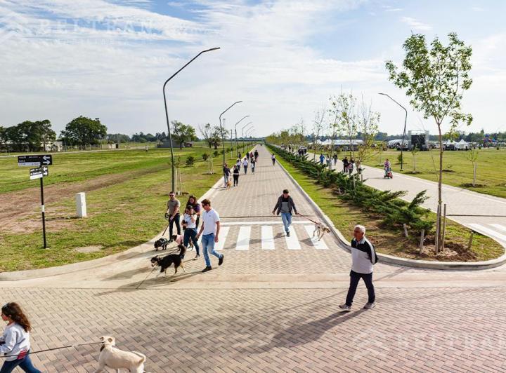 Terreno · 300m²