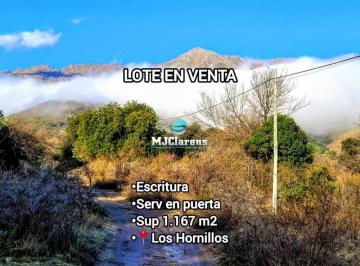 Terreno · 1167m² · Se Vende Lote 1,167 m² Escritura Los Hornillos