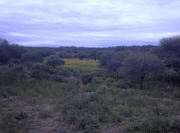 Campo de 7 ambientes, Icaño · Excelente Campo de 126ha con Titulo de Propiedad, Baviano, Catamarca