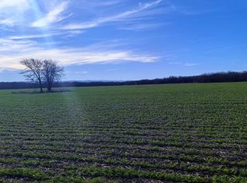 Campo · 3160000m² · Terreno en Venta en La Granja