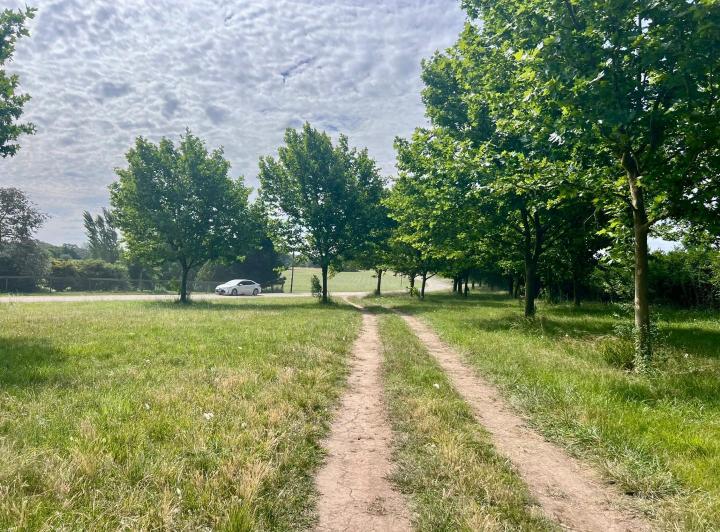 Terreno · 6200m²