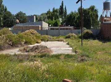 COO-COO-156_2 · Lote. | Las Espuelas
