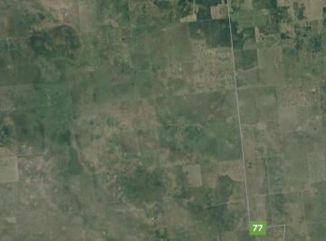 Campo · 40920m² · Chacra en Gato Colorado