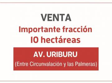 Terreno · 100000m² · Terreno en Av Uriburu y Av Circunvalación