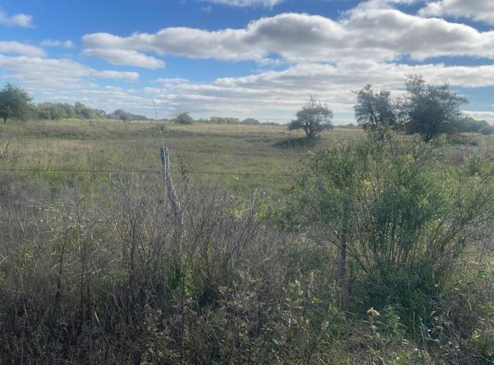 Campo · 140000m²