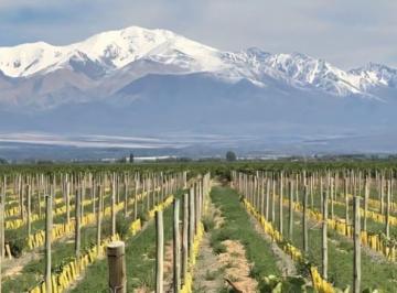 Terreno · 1000m² · Lotes Premium en Venta en Tupungato Valley – Valle de Uco