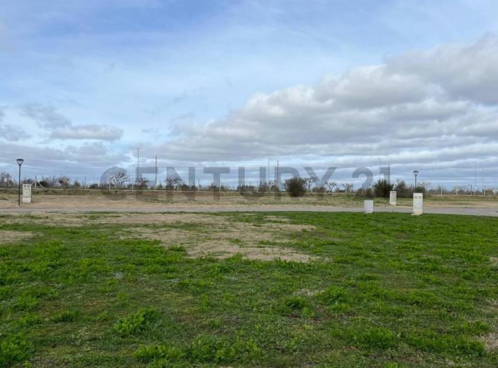 Terreno · 1032m²