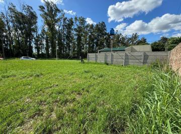 Terreno · 325m² · Terreno en Venta en Piñero