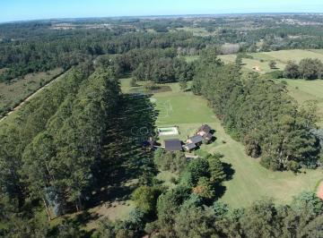 Foto1 · Quinta Vacacional en Venta en Maldonado