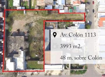 Local comercial , Bahía Blanca · Colon 1100 - Se Vende Predio de 3993 m² con Salón Comercial, Deposito y Casa!