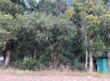 Terreno · 600m² · Lote en Bosque de Mar de Las Pampas