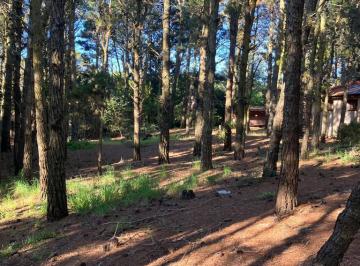 Terreno · 675m² · Lote en Mar de Las Pampas, Todo Bosque