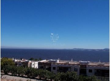 Foto1 · Punta Ballena