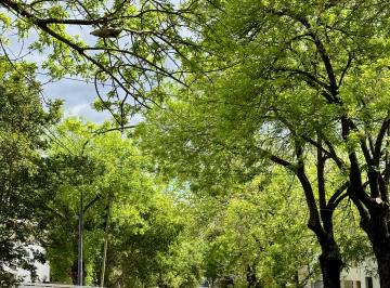 PH de 2 ambientes, Villa Pueyrredón · Villa Pueyrredón PH Nuevo 2 Amb Fte * Hermoso * Zona Residencial * U$s 122.000.