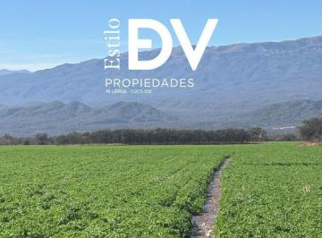 Campo · 1920000m² · Finca en La Viña