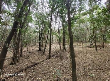 Foto · Terreno Venta Camino del Cuadrado Villa Los Altos Rio Ceballos 320 m²