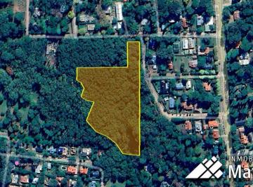 GMR-GMR-28_2 · Lote. | El Aguaribay y Mar Chiquita Sn