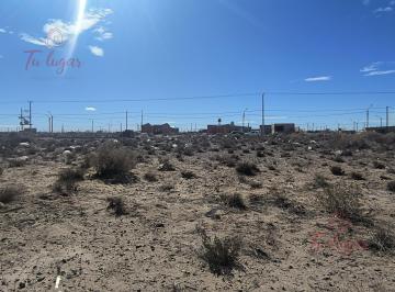 Terreno · Venta Lote Centenario - Terreno 300 m²
