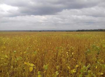 Foto · Campo Agricola 100% Hernando Cordoba