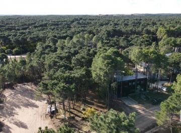 DEI-DEI-1836_2 · Lote en Venta en Pinamar Zona Norte Playa