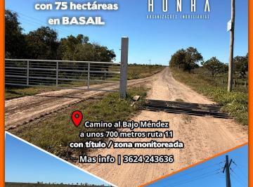 Campo , Basail · Campo Ganadero en Basail