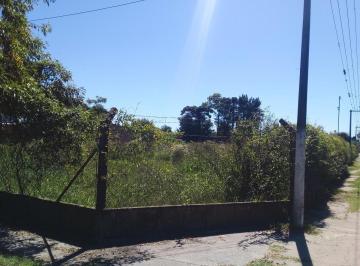 Terreno · 3600m² · Terreno - Nelson
