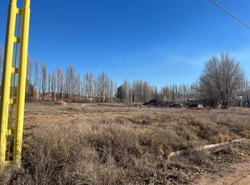 Terreno , Centenario · Venta Lote La Consuelo. Centenario