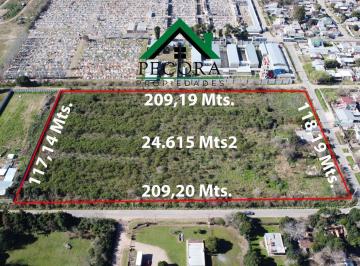 Campo · 295m² · Campo 2,46ha - Terreno - Escobar - Tiziano Entre Las Heras y San Lorenzo.