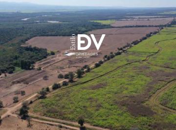 Campo · 60000000m² · Finca en Ledesma - Jujuy