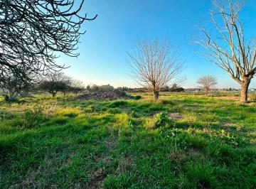 Terreno · 22500ha · Fracción en Olmos Gran Entorno
