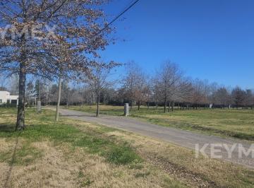 Lote · Terreno en Tessalia, Tierra de Centauros, Gral Rodriguez