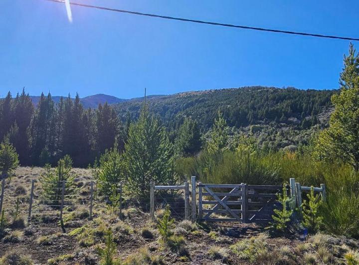 Terreno · 2500m²