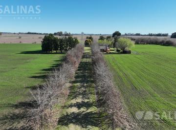 Campo · 200000ha · Chacra Alomada con Mejoras en Carlos Keen