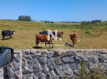 Foto1 · Chacra de 30has en Jose Ignacio