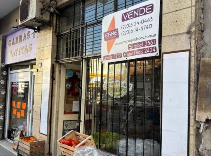 Locales comerciales en venta en Mar del Plata — RealXpertAI