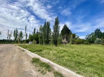 Terreno · 398m² · Terreno en Centenario Frente a La Ruta a Cinco Saltos, en Una Zona de Chacras, Dentro de La Extensió