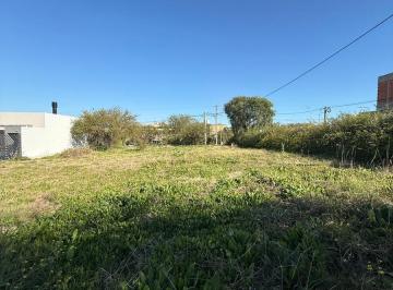 Terreno · 1100m² · Se Vende Amplio Terreno Sobre Lopez Jordan Zona Acceso Norte