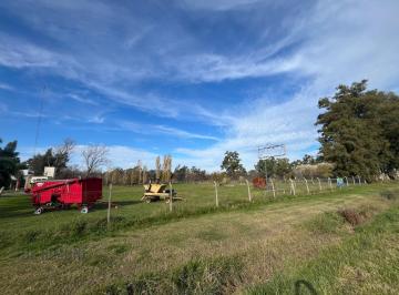 Terreno · 5000m² · Venta Lote 5000 m² en Cañuelas