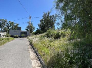 Terreno · 4000m² · Terreno en Los Carolinos