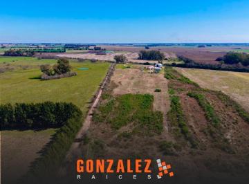 Campo · 120ha · 4 Ambientes · 10 Cocheras · Campo en Zarate