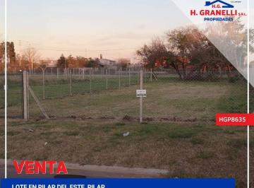 HGP-HGP-8635_2 · Lote. | Guastavino Al 3000