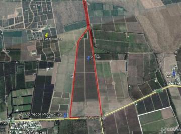 Campo , Tunuyán · Venta de Finca - 61.4 Has en Corredor Productivo, Tunuyán