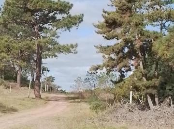 Terreno , Mar de las Pampas · Terreno en Venta
