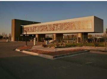 Terreno , Mayor Drummond · Lote en Venta Bº Alma Gardenia, Mayor Drummond, Luján de Cuyo - Mendoza
