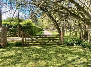 Campo · 120ha · 3 Ambientes · 2 Cocheras · Excelente Chacra a m de La Ruta 210 con Estupenda Forestación Galpón Vivienda!