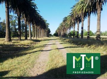 Campo · 2560000m² · Campo de 256 Has - Venta